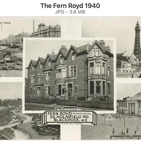 The Fernroyd-3